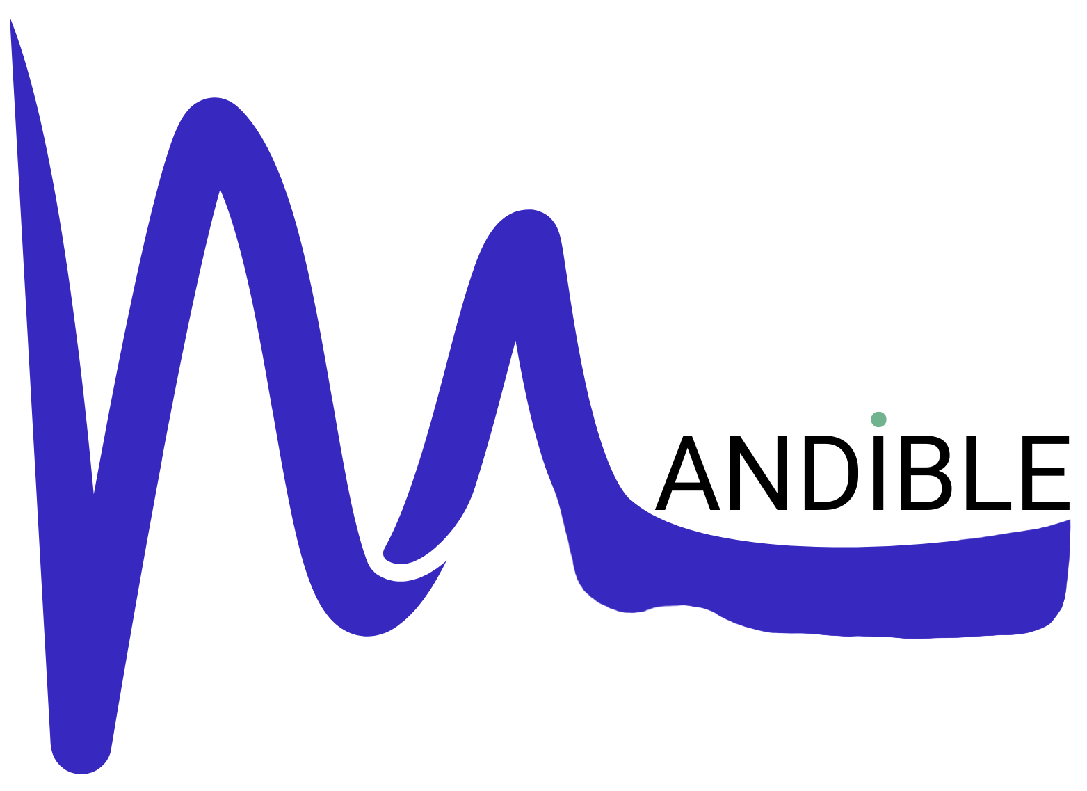 Mandible